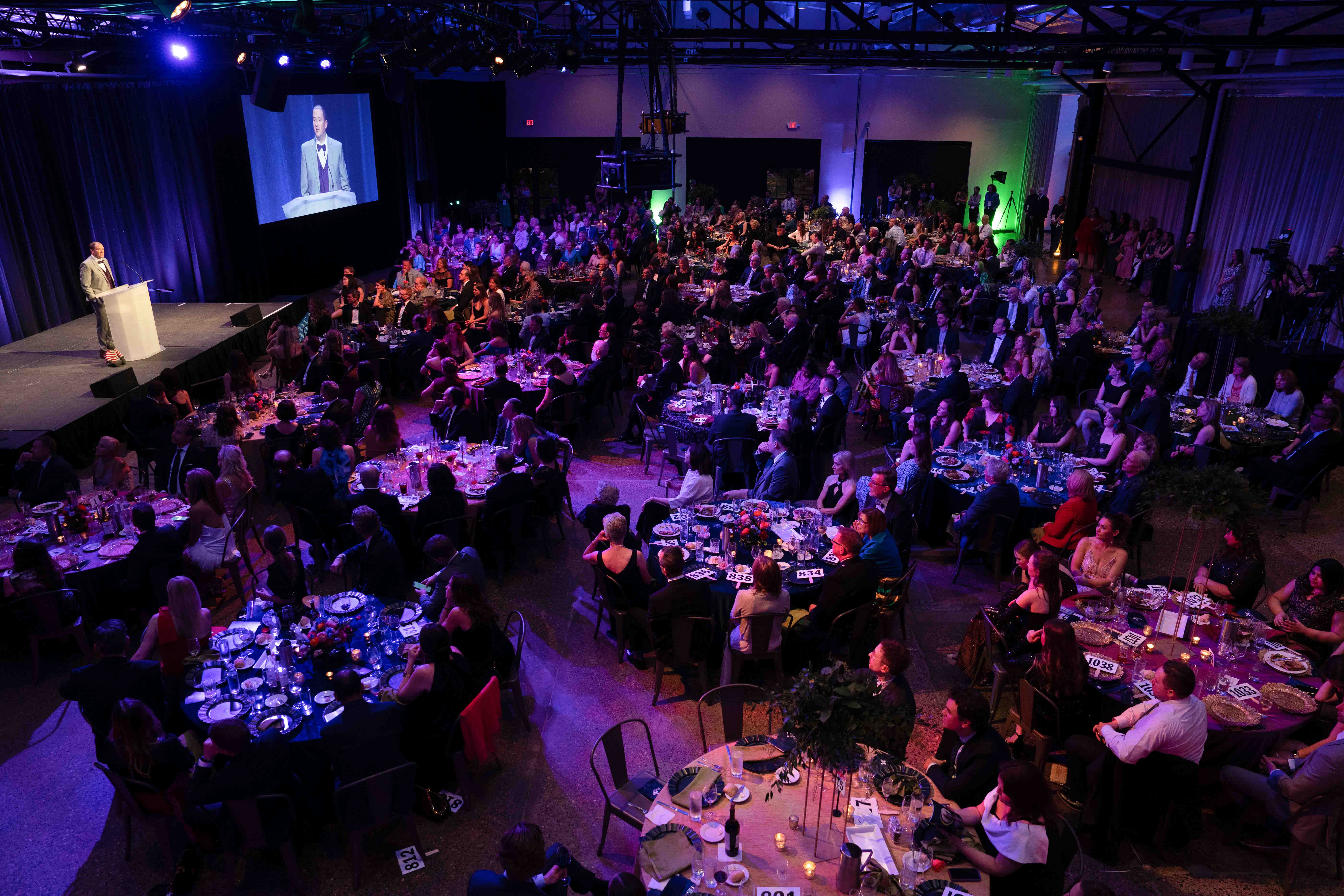 Image from DREAM Gala 2023 benefitting CCRF